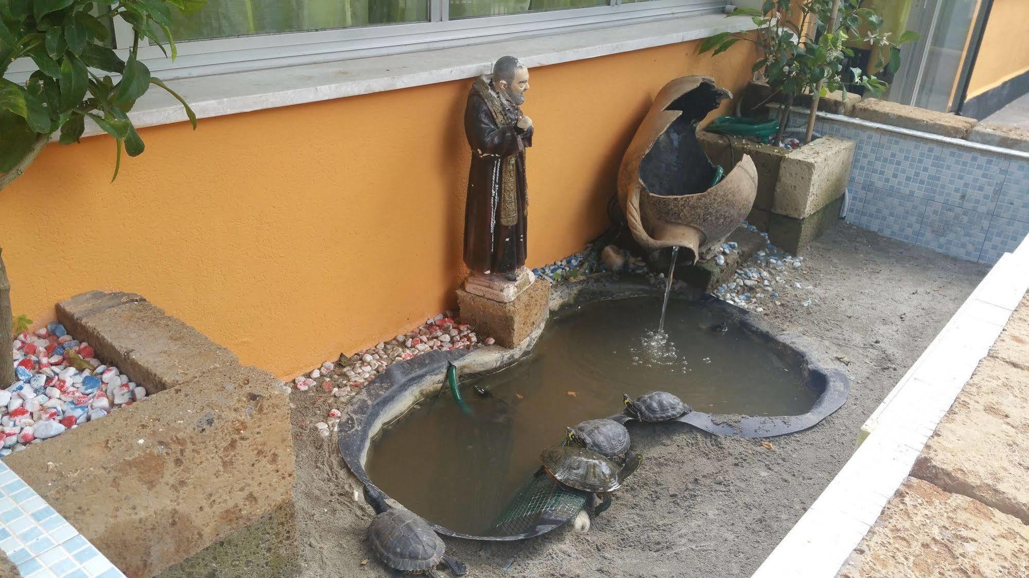 Hotel Villa Lorena Rimini Zewnętrze zdjęcie